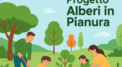 Immagine progetto alberti Immagine progetto alberti